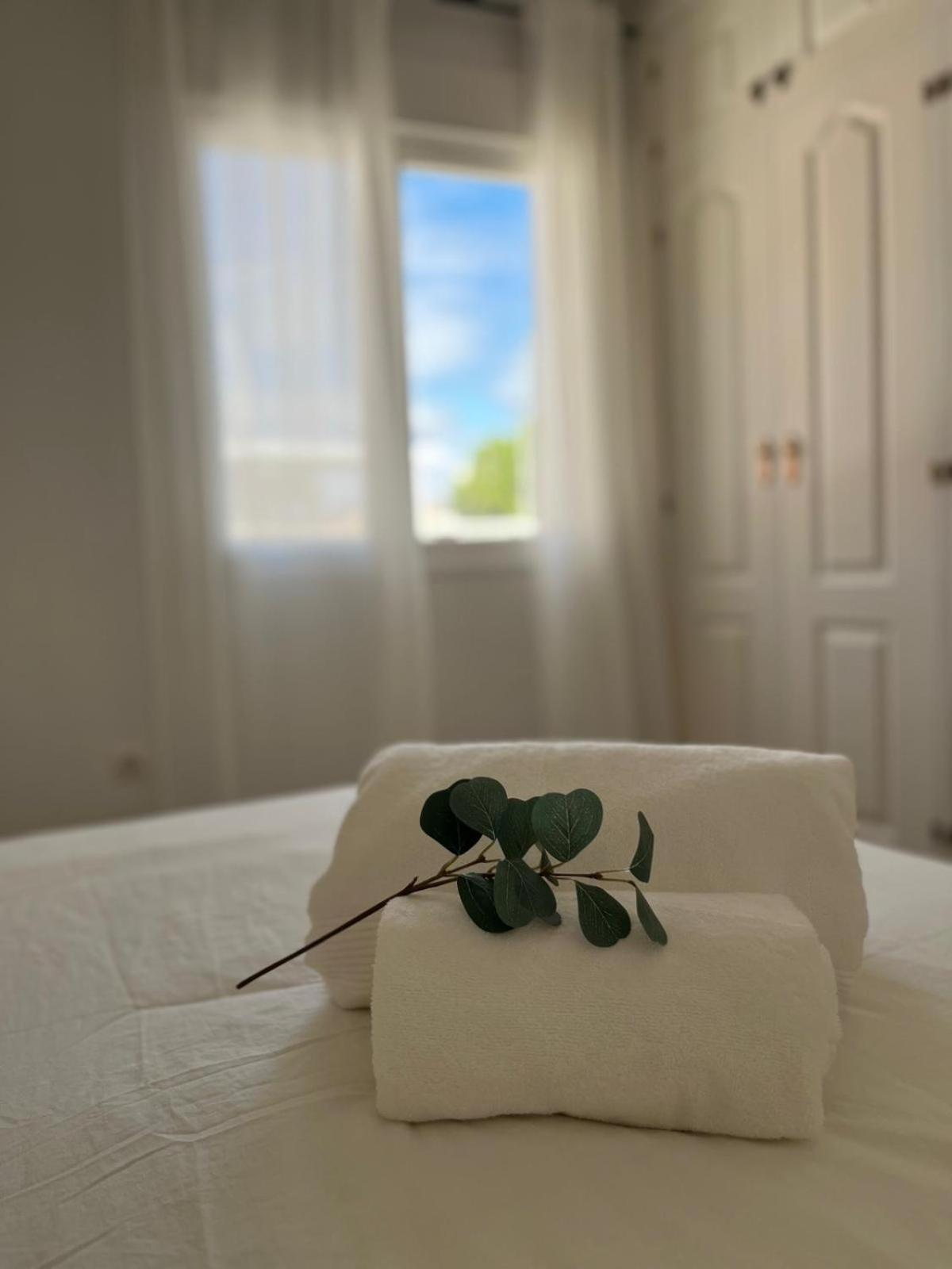 Malaga Prime Location - Stylish Apartment With Free Wifi, Free Parking, Steps From The Historic Center Екстер'єр фото