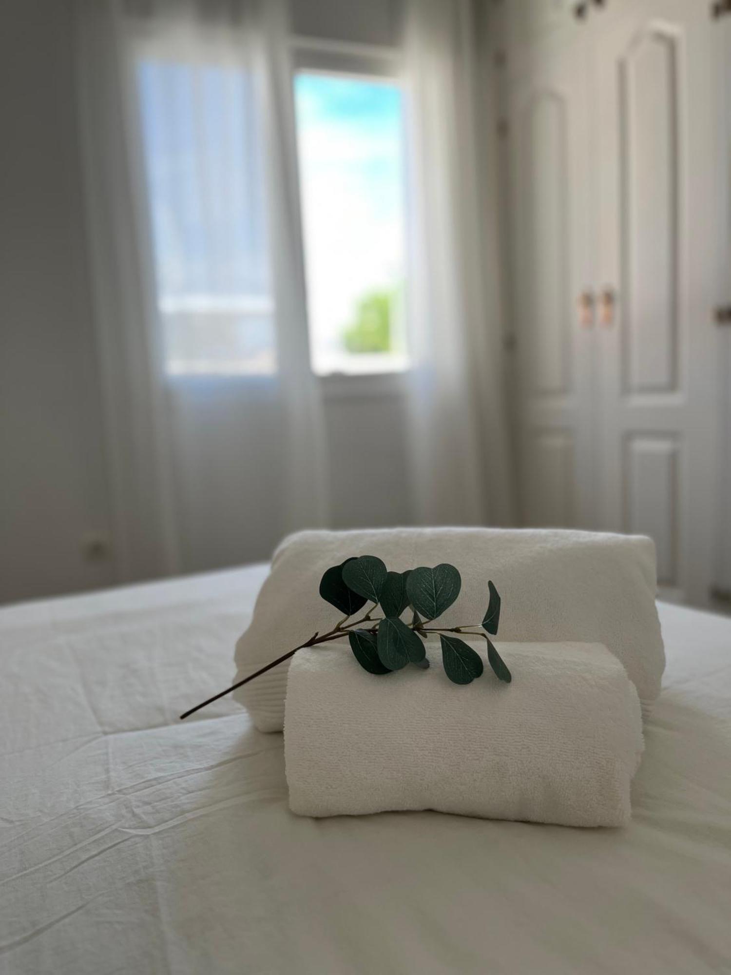Malaga Prime Location - Stylish Apartment With Free Wifi, Free Parking, Steps From The Historic Center Екстер'єр фото